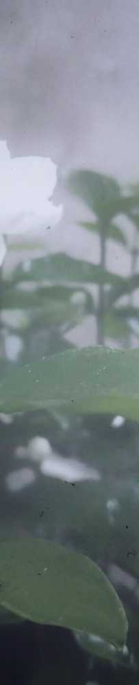 ̎