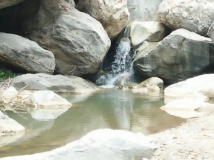 ?zh)? width=