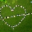 ֮